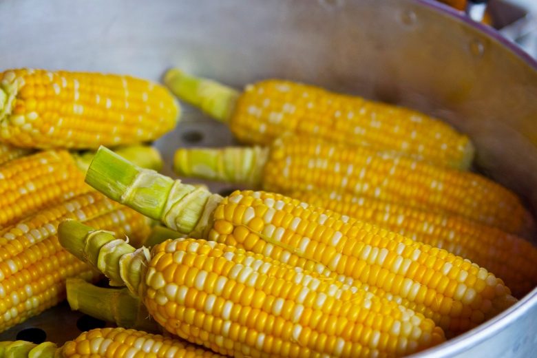 Resep Masakan Sehari-hari untuk Vegetarian